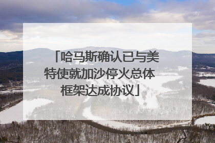 哈马斯确认已与美特使就加沙停火总体框架达成协议