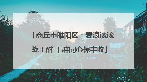 商丘市睢阳区：麦浪滚滚战正酣 干群同心保丰收