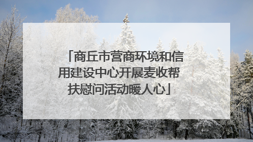 商丘市营商环境和信用建设中心开展麦收帮扶慰问活动暖人心