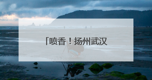 喷香！扬州武汉两手牵，华科大1万6千名毕业生争品“扬州包子”