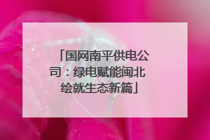 国网南平供电公司：绿电赋能闽北 绘就生态新篇