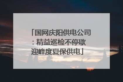 国网庆阳供电公司：精益巡检不停歇 迎峰度夏保供电