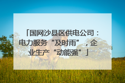 国网沙县区供电公司：电力服务“及时雨”，企业生产“动能强”