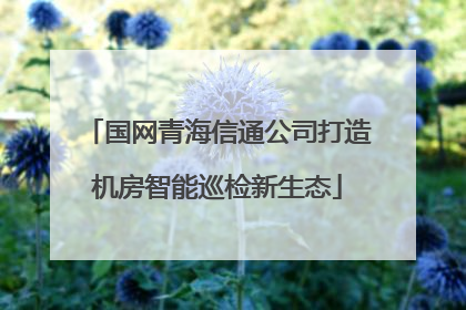 国网青海信通公司打造机房智能巡检新生态