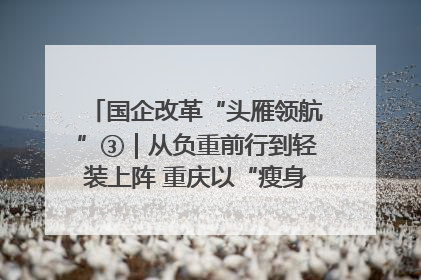 国企改革“头雁领航”③｜从负重前行到轻装上阵 重庆以“瘦身”谋“健体”