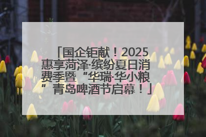国企钜献！2025惠享菏泽·缤纷夏日消费季暨“华瑞·华小粮”青岛啤酒节启幕！