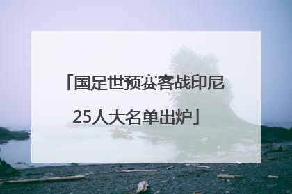 国足世预赛客战印尼25人大名单出炉
