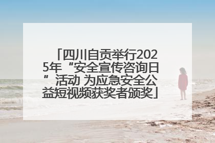 四川自贡举行2025年“安全宣传咨询日”活动 为应急安全公益短视频获奖者颁奖