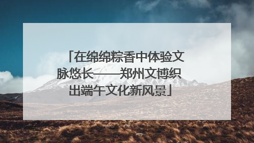 在绵绵粽香中体验文脉悠长——郑州文博织出端午文化新风景