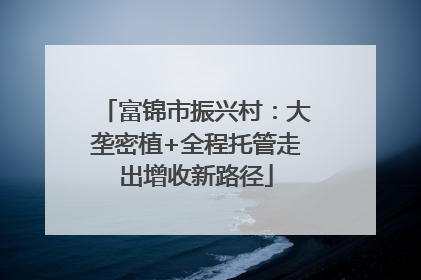 富锦市振兴村：大垄密植+全程托管走出增收新路径