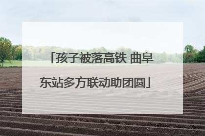 孩子被落高铁 曲阜东站多方联动助团圆