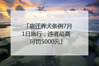宿迁养犬条例7月1日施行，违者最高可罚5000元