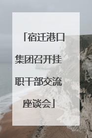 宿迁港口集团召开挂职干部交流座谈会