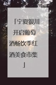 宁夏银川 开启葡萄酒畅饮季红酒美食市集