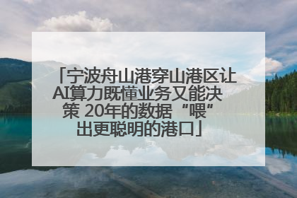 宁波舟山港穿山港区让AI算力既懂业务又能决策 20年的数据“喂”出更聪明的港口