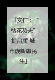 安仁：“绣花功夫”提品质 城市焕新惠民生