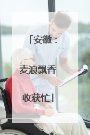 安徽：麦浪飘香收获忙