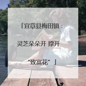 宜章县梅田镇：灵芝朵朵开 撑开“致富花”