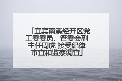 宜宾南溪经开区党工委委员、管委会副主任周虎 接受纪律审查和监察调查