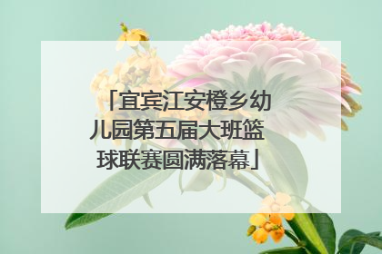 宜宾江安橙乡幼儿园第五届大班篮球联赛圆满落幕