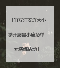 宜宾江安连天小学开展最小应急单元演练活动