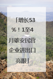 增长53%！1至4月雄安民营企业进出口亮眼