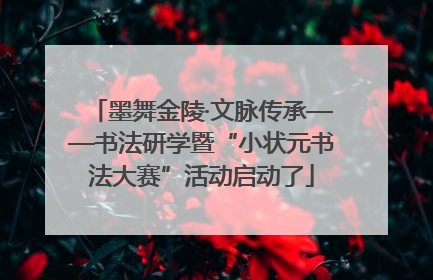 墨舞金陵·文脉传承——书法研学暨“小状元书法大赛”活动启动了