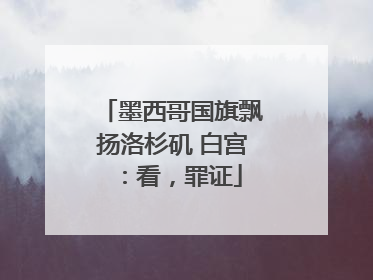 墨西哥国旗飘扬洛杉矶 白宫：看，罪证