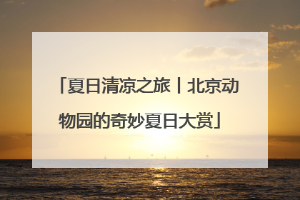 夏日清凉之旅丨北京动物园的奇妙夏日大赏