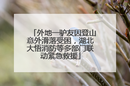 外地一驴友因登山意外滑落受困，湖北大悟消防等多部门联动紧急救援