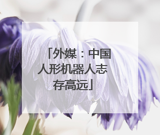 外媒：中国人形机器人志存高远