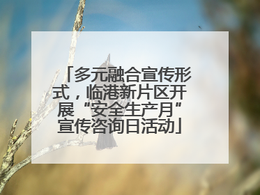 多元融合宣传形式，临港新片区开展“安全生产月”宣传咨询日活动