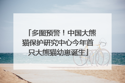多图预警！中国大熊猫保护研究中心今年首只大熊猫幼崽诞生
