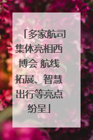 多家航司集体亮相西博会 航线拓展、智慧出行等亮点纷呈