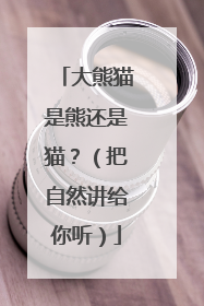 大熊猫是熊还是猫？（把自然讲给你听）