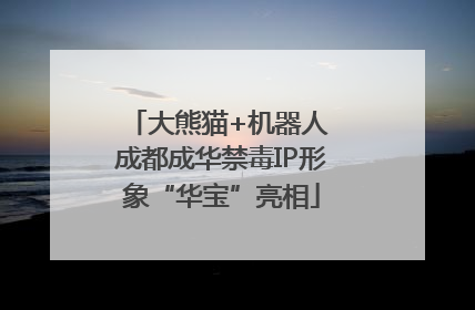 大熊猫+机器人 成都成华禁毒IP形象“华宝”亮相