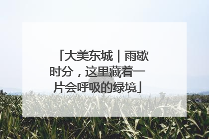 大美东城｜雨歇时分，这里藏着一片会呼吸的绿境