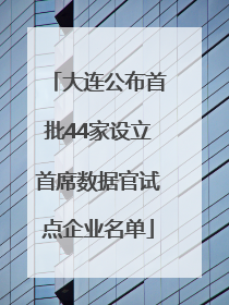 大连公布首批44家设立首席数据官试点企业名单