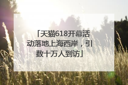 天猫618开幕活动落地上海西岸，引数十万人到访