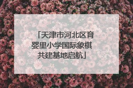 天津市河北区育婴里小学国际象棋共建基地启航