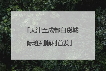 天津至成都白货城际班列顺利首发