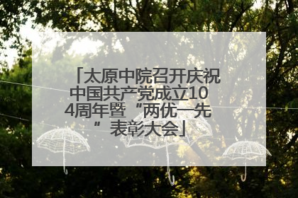 太原中院召开庆祝中国共产党成立104周年暨“两优一先”表彰大会