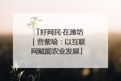 好网民·在潍坊｜曹紫瑜：以互联网赋能农业发展
