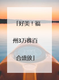 好美！福州3万株百合盛放