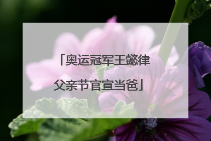 奥运冠军王懿律父亲节官宣当爸