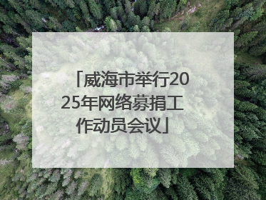 威海市举行2025年网络募捐工作动员会议