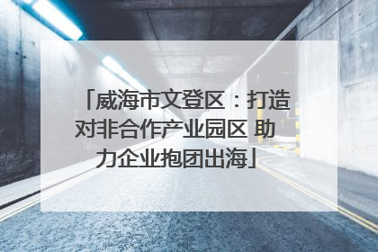 威海市文登区：打造对非合作产业园区 助力企业抱团出海