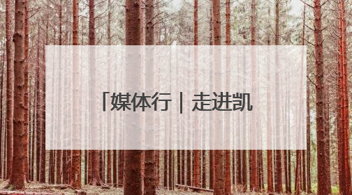 媒体行｜走进凯盛浩丰“番茄硅谷”：看数字神经下的精准农业