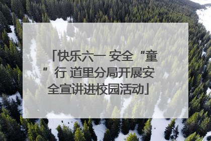 快乐六一 安全“童”行 道里分局开展安全宣讲进校园活动