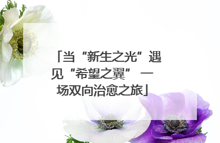 当“新生之光”遇见“希望之翼” 一场双向治愈之旅